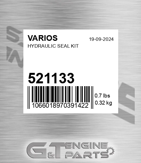 521133 Hydraulic Seal Kit