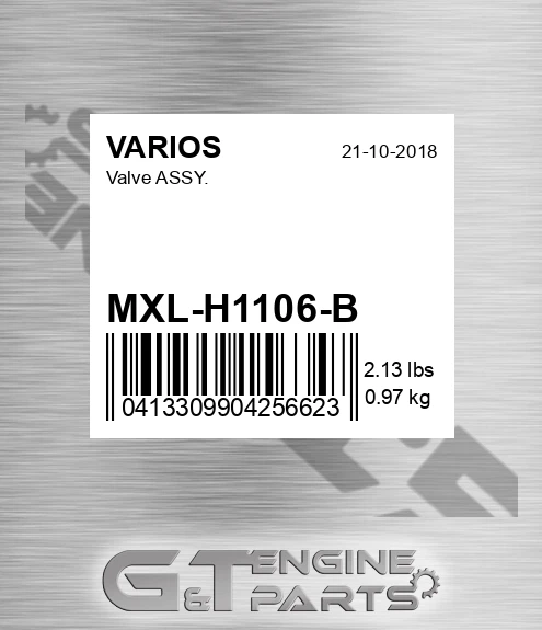 MXL-H1106-B Valve Assy.