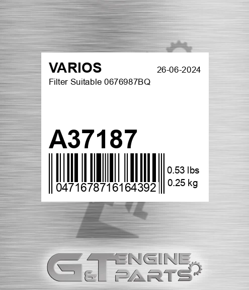 A37187 VARIOS Filter Suitable 0676987bq