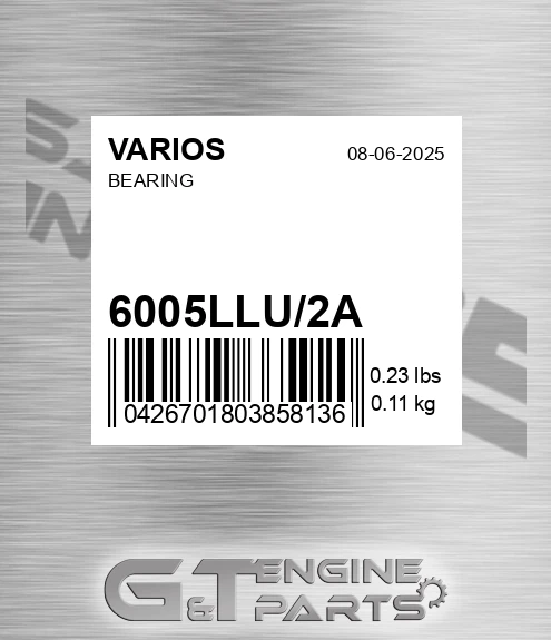 6005LLU/2A Bearing for VARIOS