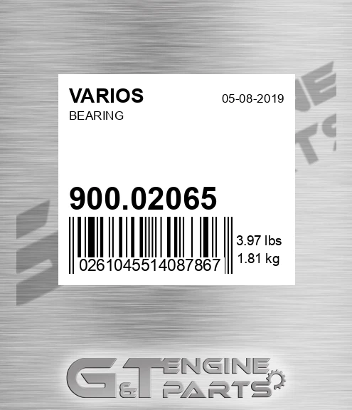 900.02065 Bearing
