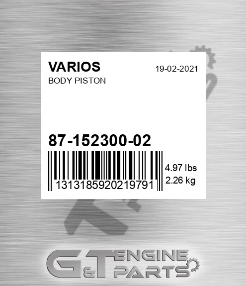 87-152300-02 Body Piston