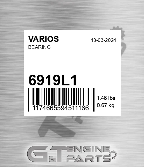 6919L1 Bearing