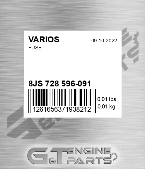 8JS 728 596-091 Fuse