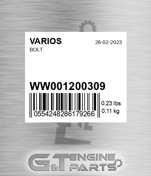 WW0012003.09 Bolt
