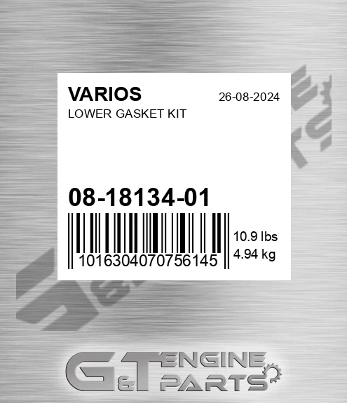 08-18134-01 Lower Gasket Kit for VARIOS