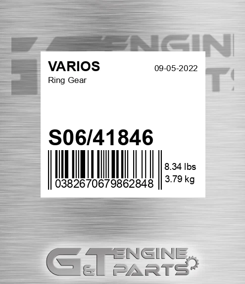 S06-41846 Ring Gear for VARIOS