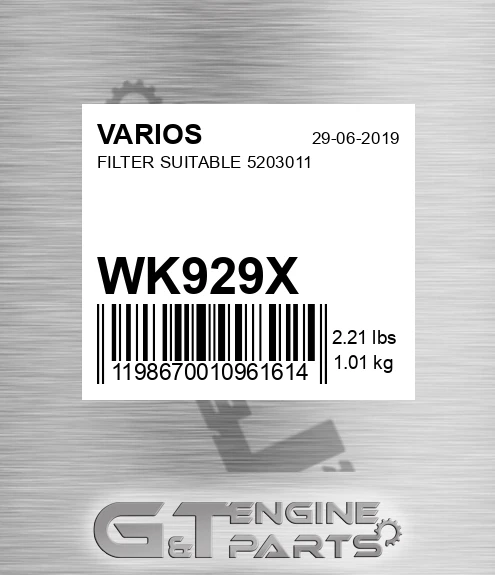WK929X Filter Suitable 5203011 for VARIOS