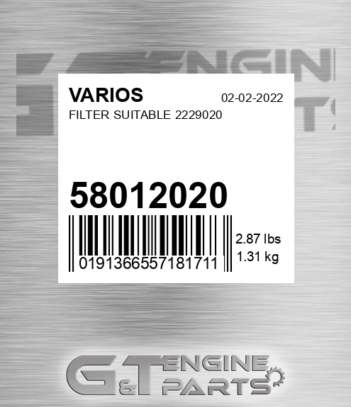 58012020 Filter Suitable 2229020