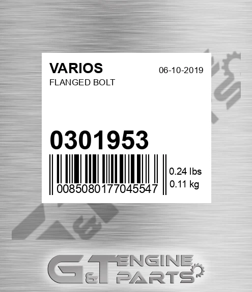 030.1953 Flanged Bolt for VARIOS
