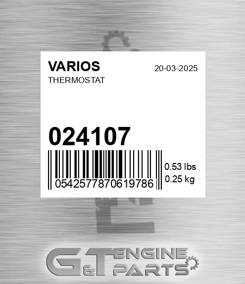 024.107 Thermostat