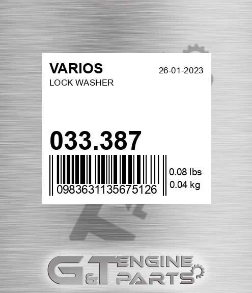 033.387 Lock Washer
