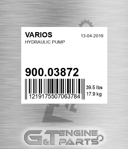 900.03872 Hydraulic Pump
