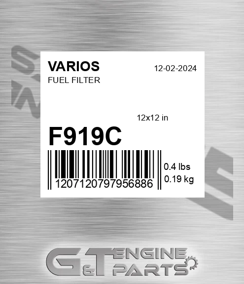 F919-C Fuel Filter