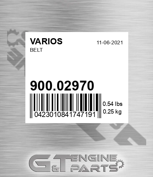 900.02970 Belt