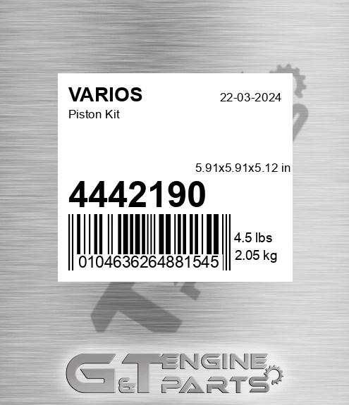4442190 Piston Kit