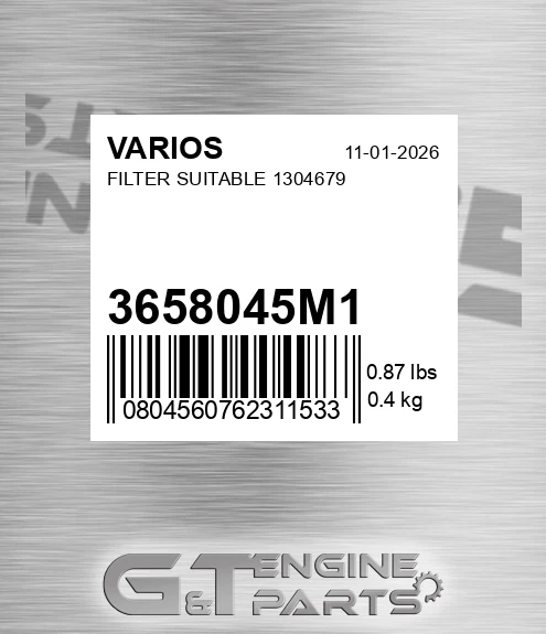 3658045M1 VARIOS Filter Suitable 1304679