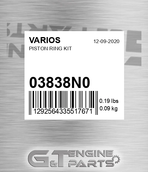 03838N0 Piston Ring Kit