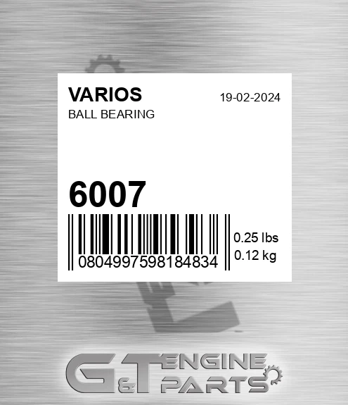 6007 Ball Bearing
