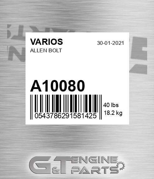 A10080 VARIOS Allen Bolt