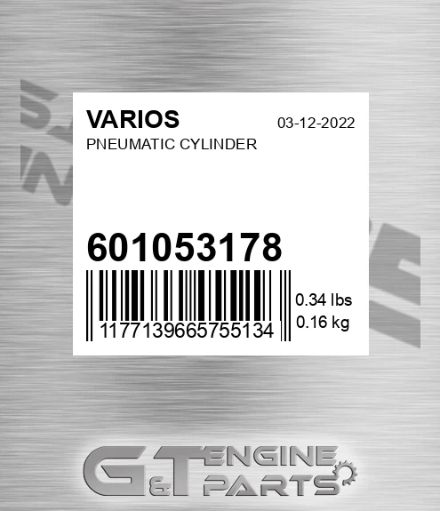 601053178 Pneumatic Cylinder