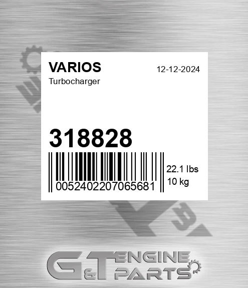 318828 Turbocharger for VARIOS