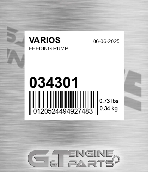 034.301 Feeding Pump