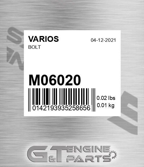 M06020 VARIOS Bolt