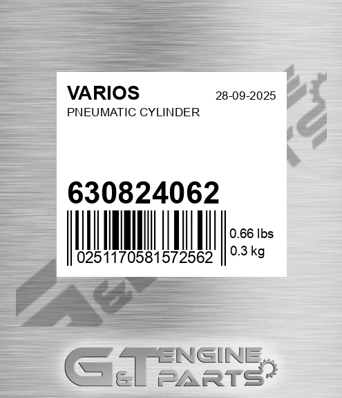 630824062 Pneumatic Cylinder