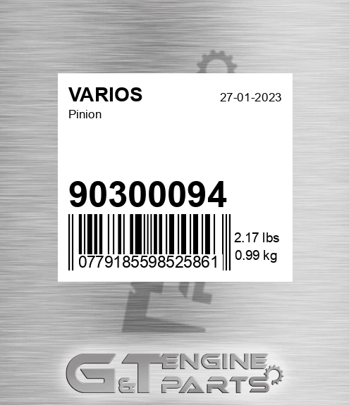 903.00094 Pinion for VARIOS
