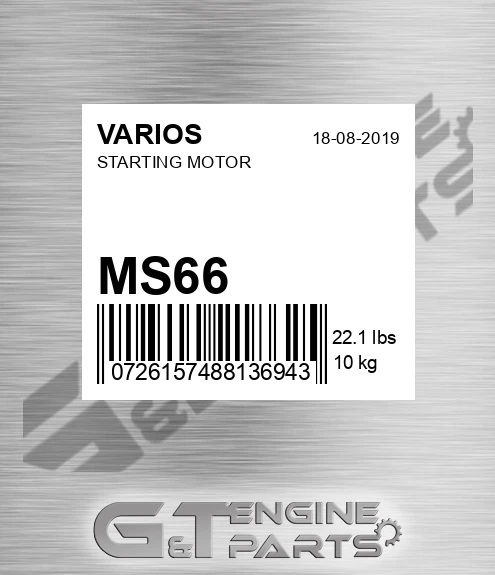 MS66 Starting Motor
