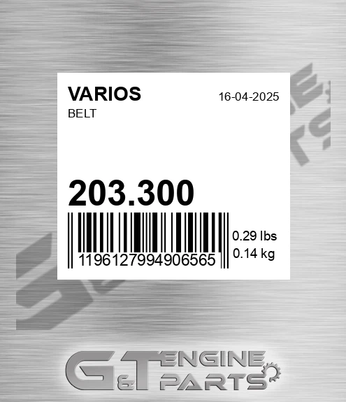 203.300 Belt