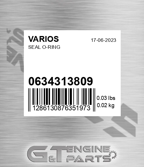 0634313809 VARIOS Seal O-ring