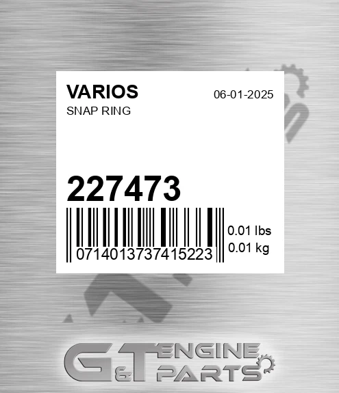 227473 Snap Ring