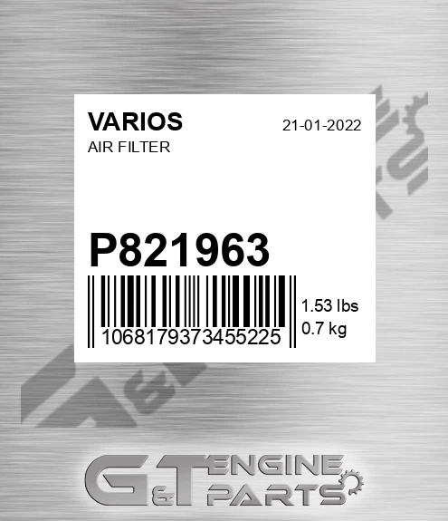 P821963 Air Filter