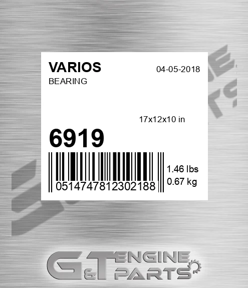 6919 Bearing
