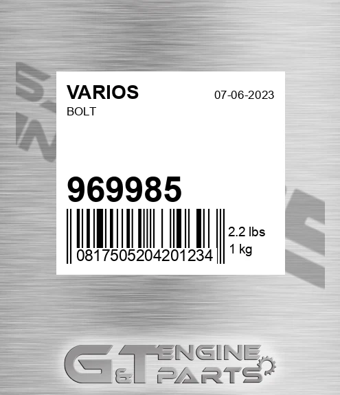 969985 VARIOS Bolt