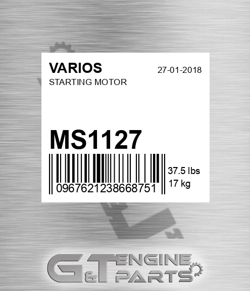 MS1127 Starting Motor