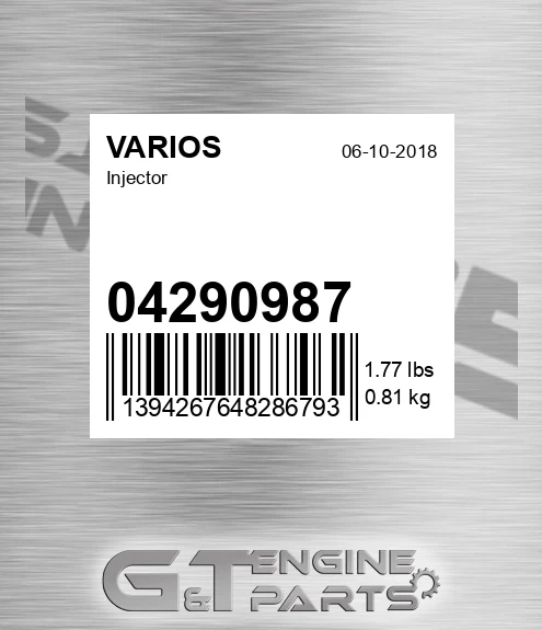 04290987 Injector