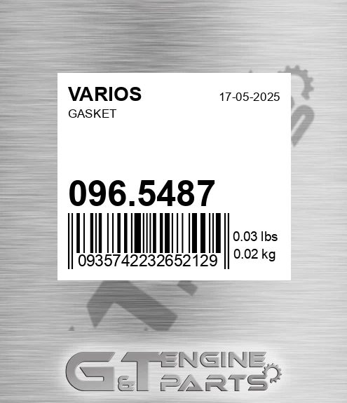 096.5487 Gasket