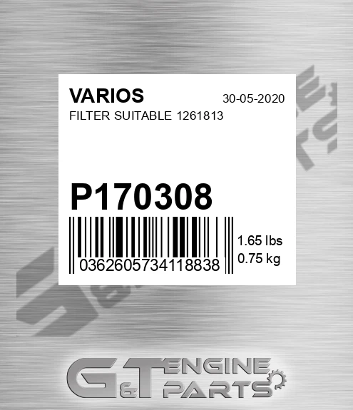 P170308 VARIOS Filter Suitable 1261813