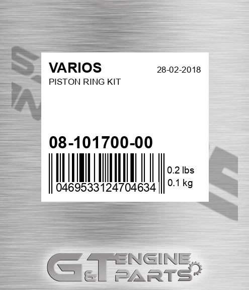 08-101700-00 Piston Ring Kit