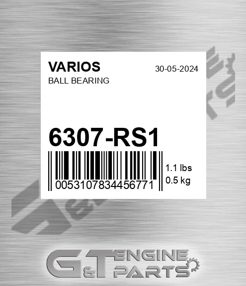 6307-RS1 Ball Bearing
