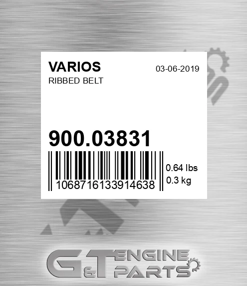 900.03831 Ribbed Belt