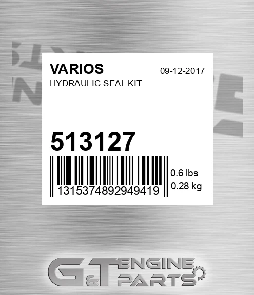 513127 Hydraulic Seal Kit