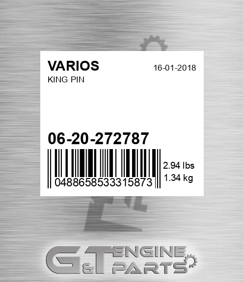 06-20-272787 King Pin