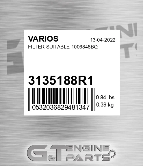 3135188R1 Filter Suitable 1006848bq