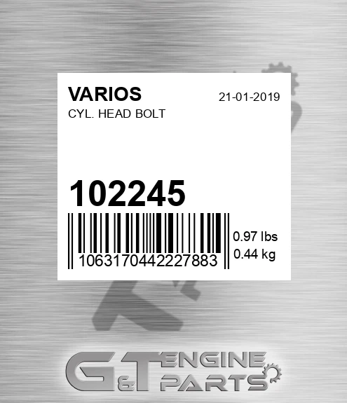 102.245 Cyl. Head Bolt for VARIOS