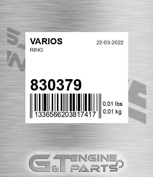 830379 Ring