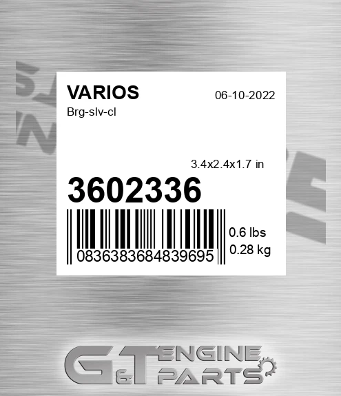3602336 Brg-slv-cl